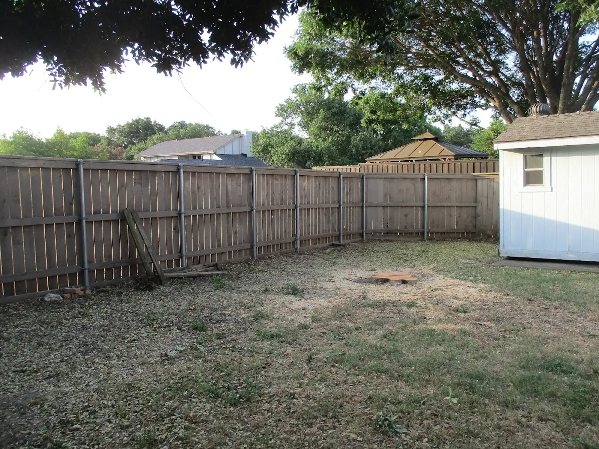 Cleared yard after professional tree removal in Kremmling